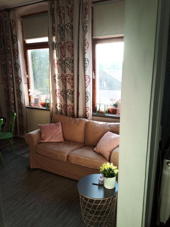 Zur Friedrichsruh Bed and Breakfast Oelsnitz  Εξωτερικό φωτογραφία