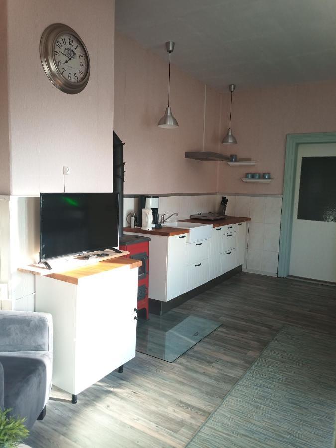 Zur Friedrichsruh Bed and Breakfast Oelsnitz  Εξωτερικό φωτογραφία