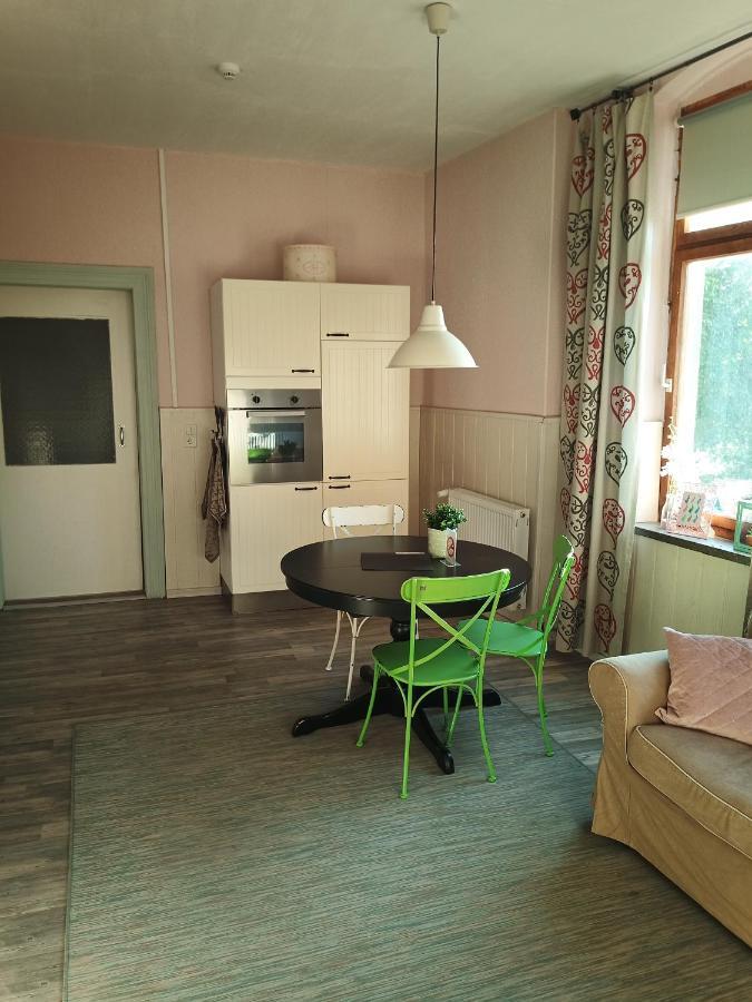 Zur Friedrichsruh Bed and Breakfast Oelsnitz  Εξωτερικό φωτογραφία